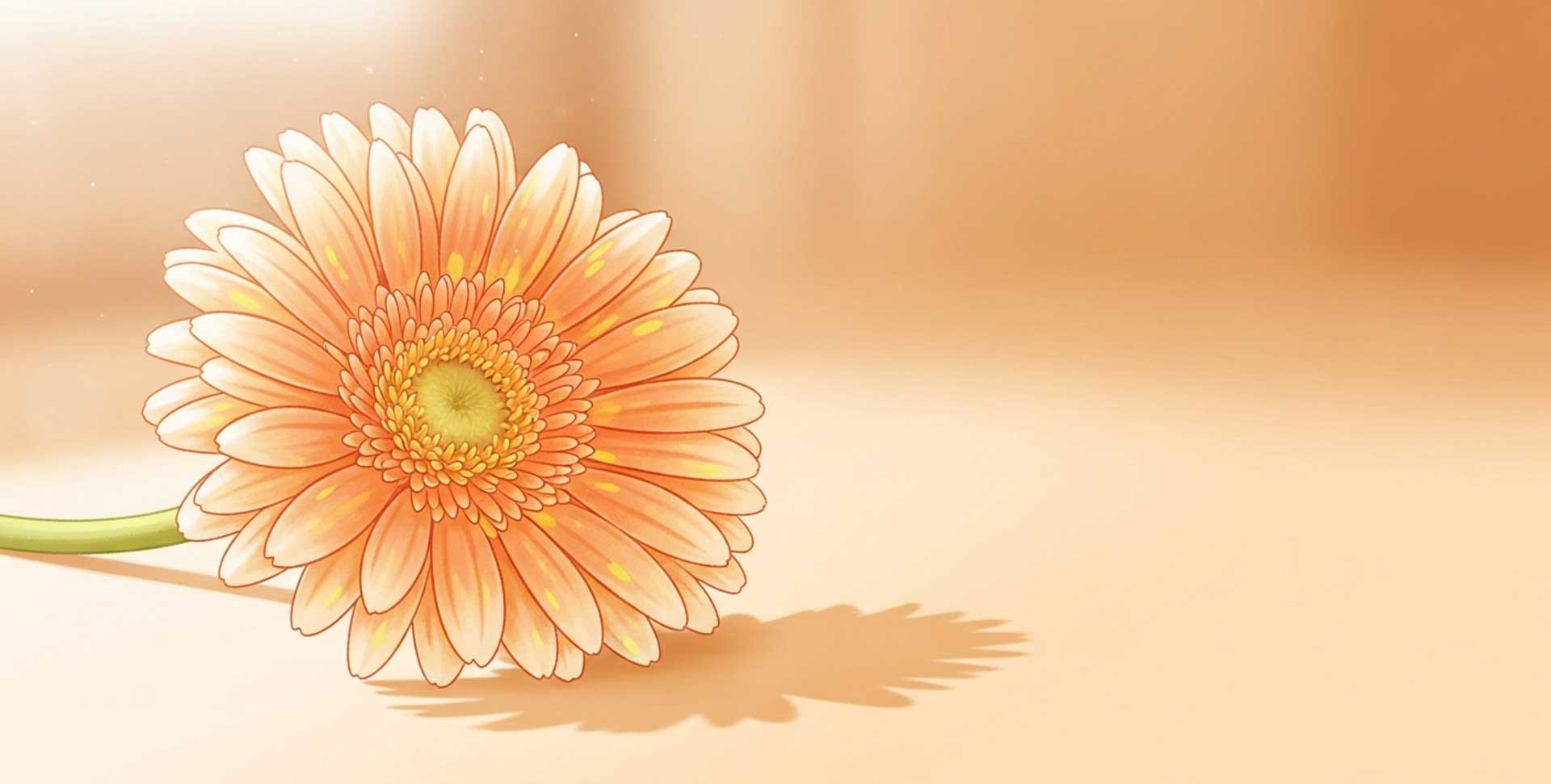 ガーベラの花言葉